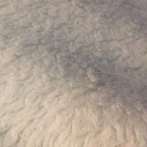 Meet your Posher, Sue